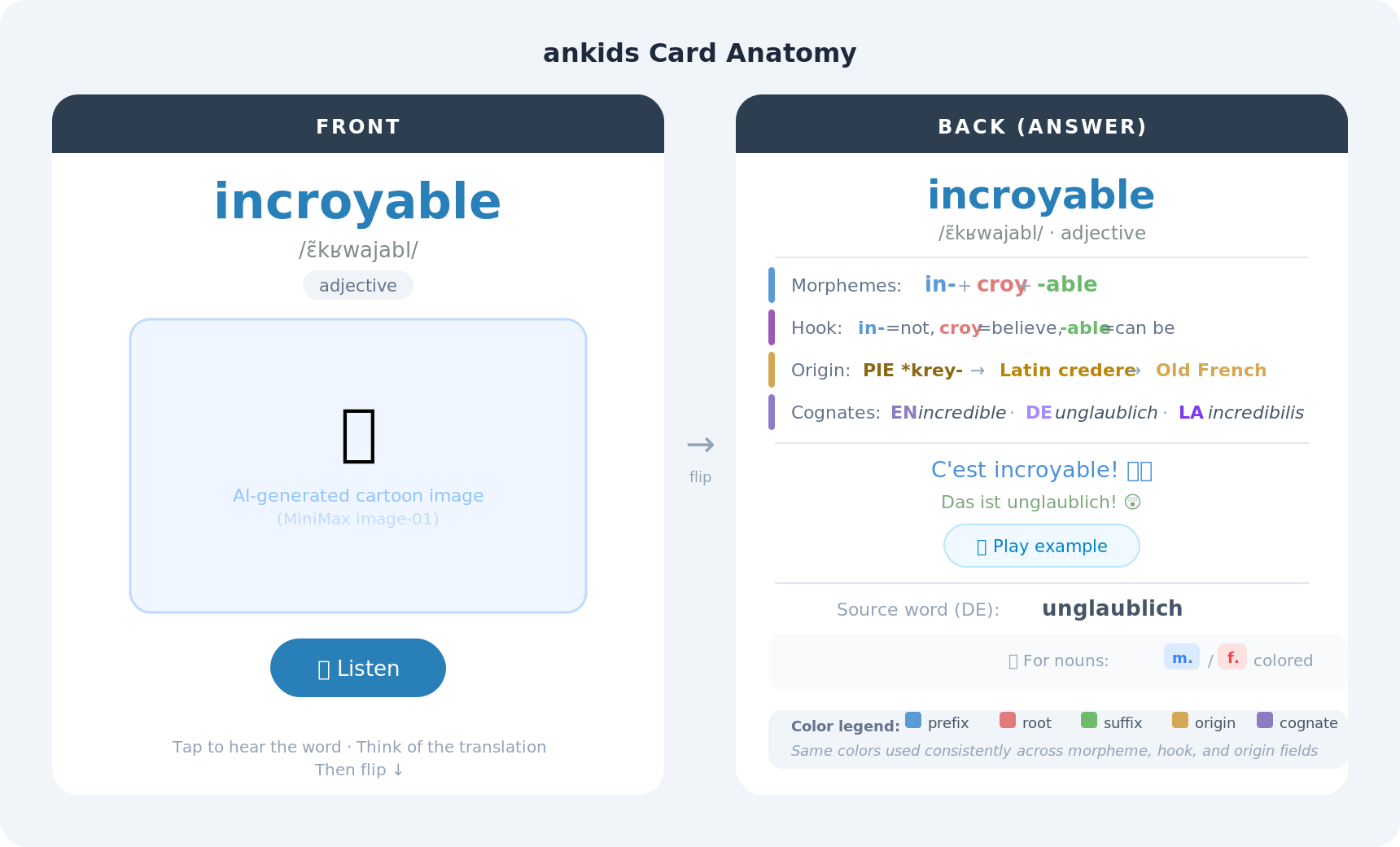 ankids card anatomy — front and back